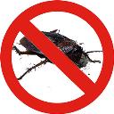 Same Day Pest Control Brisbane logo